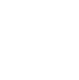 YCHS